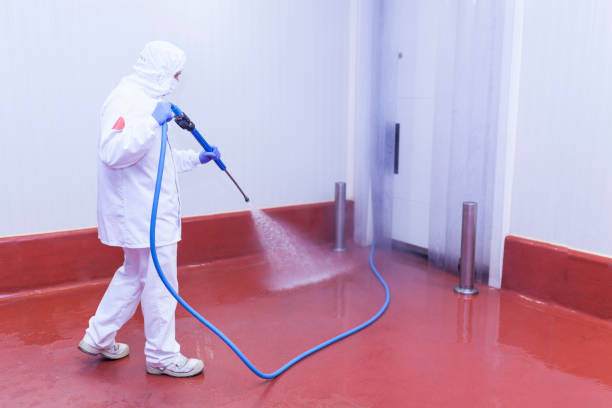 Best Heavy Equipment Washing  in Bellflower, CA
